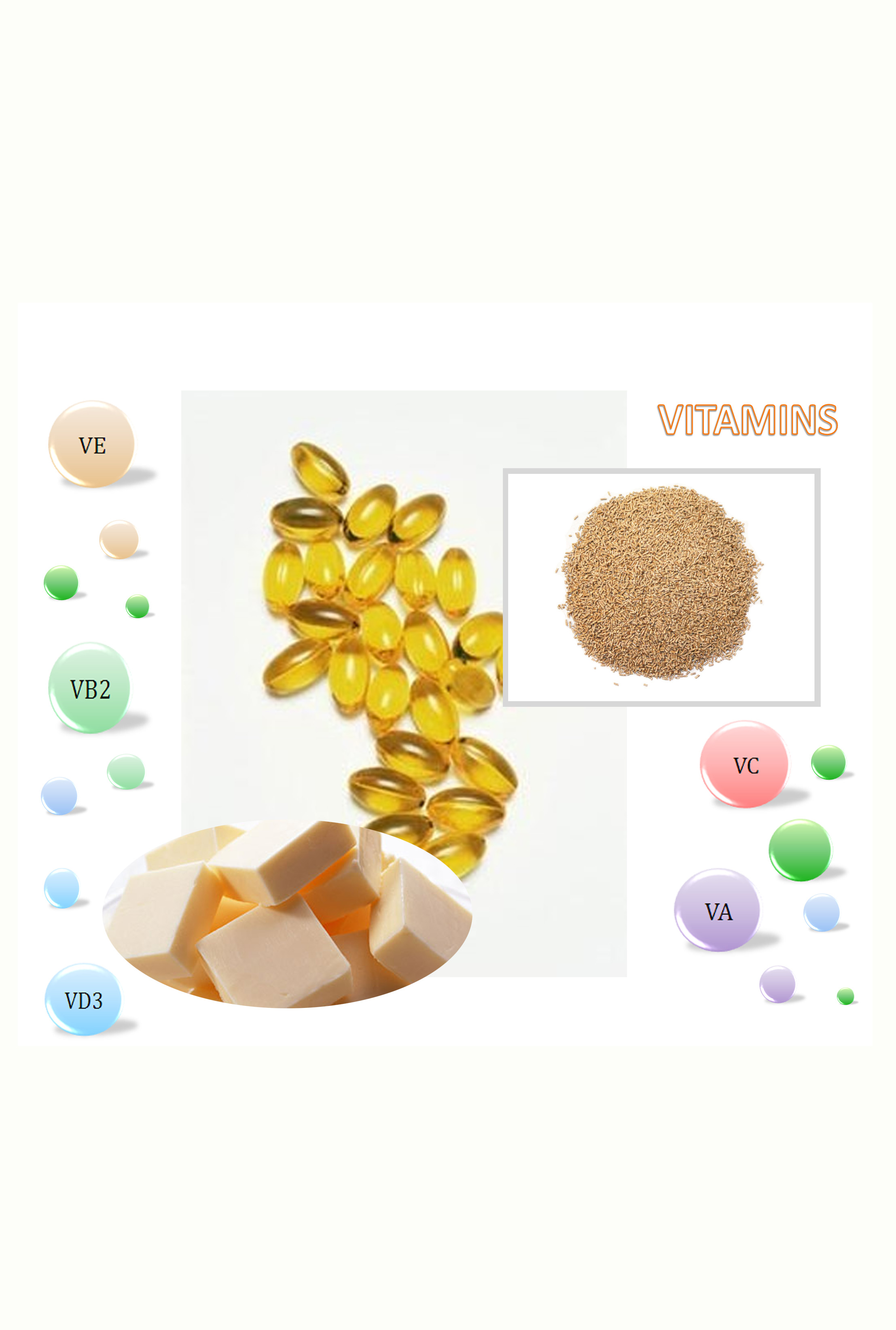 Vitamins China E-News (Chinese version)